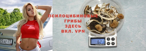 спиды Вяземский