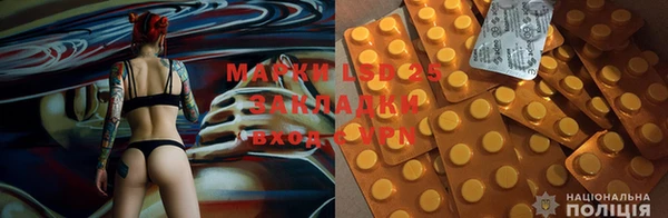 тгк Вязники
