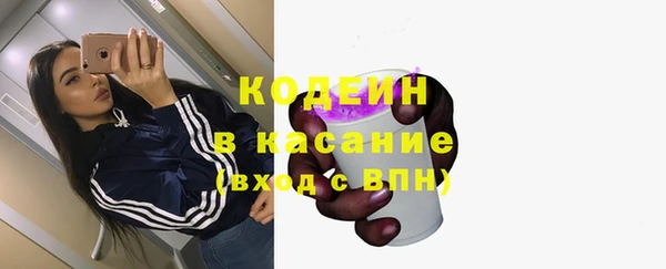 спиды Вяземский