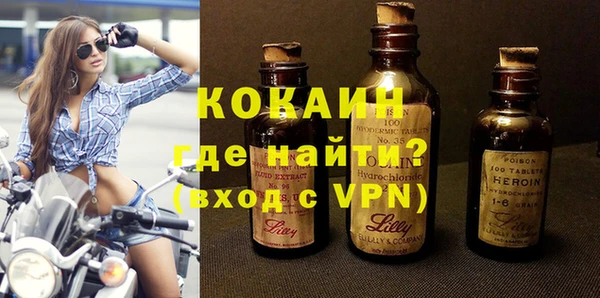 спиды Вяземский