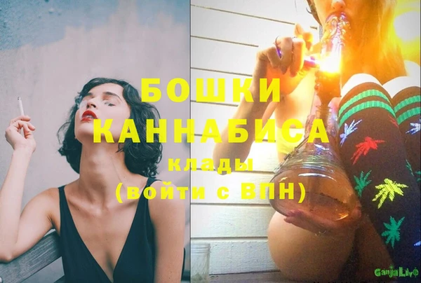 спиды Вяземский