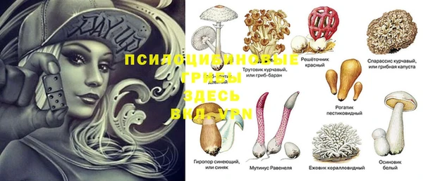 тгк Вязники