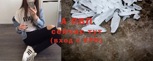 спиды Вяземский