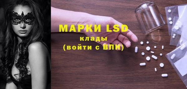 спиды Вяземский