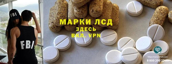 спиды Вяземский