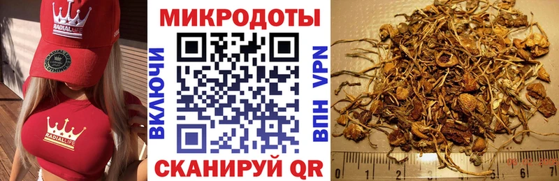 Псилоцибиновые грибы Psilocybe Купить где Талдом