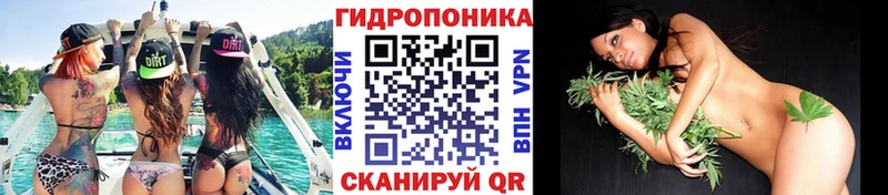 Купить  Талдом  Шишки марихуана VHQ 
